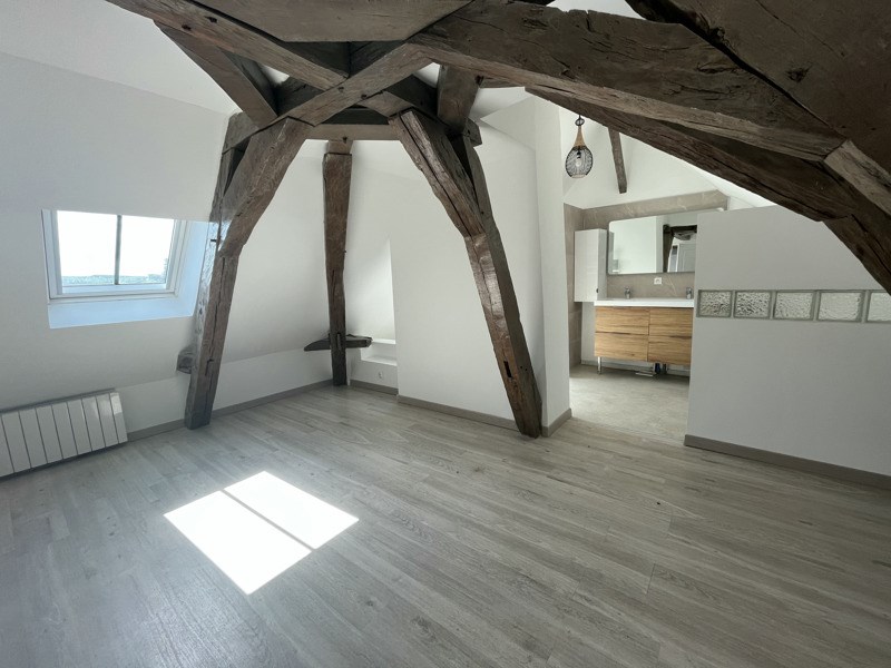 Vente Immeuble DESCARTES - -  219 m² - (37160)