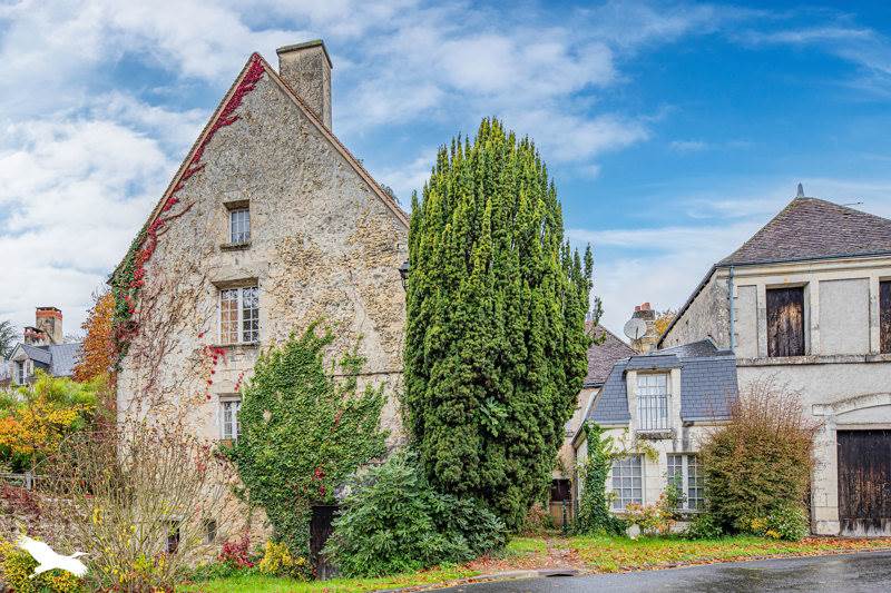 Vente Maison FERRIERE LARCON - 5 pièces -114 m² - (37350)