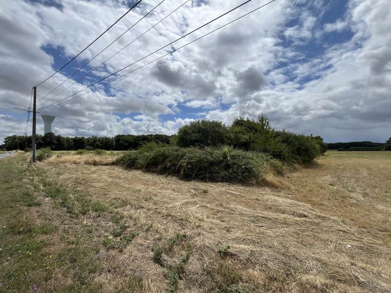 Vente Terrain AUTRECHE - -3297 m² - (37110)