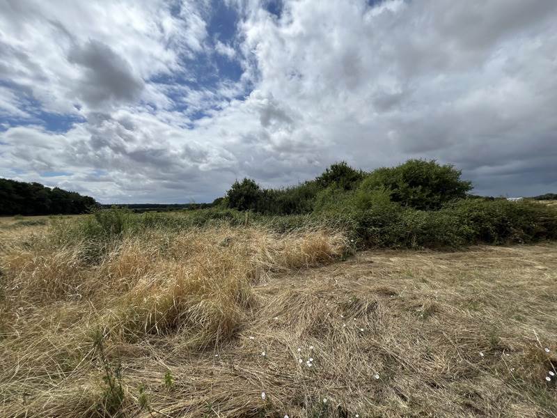 Vente Terrain AUTRECHE - -3297 m² - (37110)