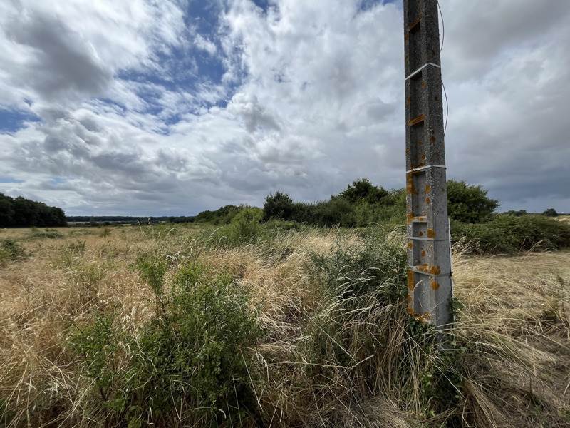 Vente Terrain AUTRECHE - -3297 m² - (37110)