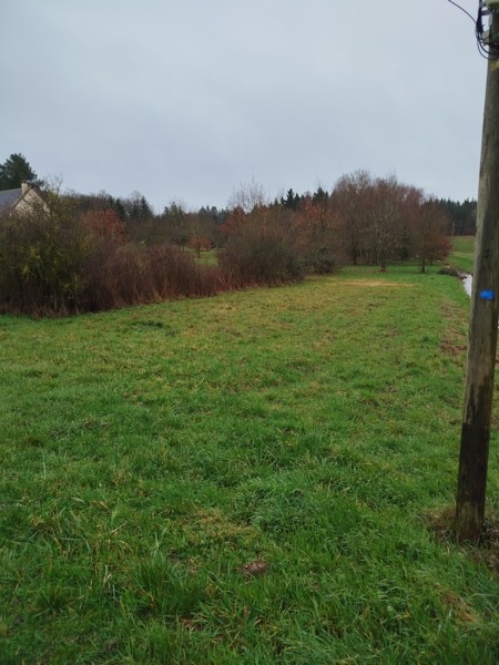 Vente Terrain DAME MARIE LES BOIS - -2997 m² - (37110)