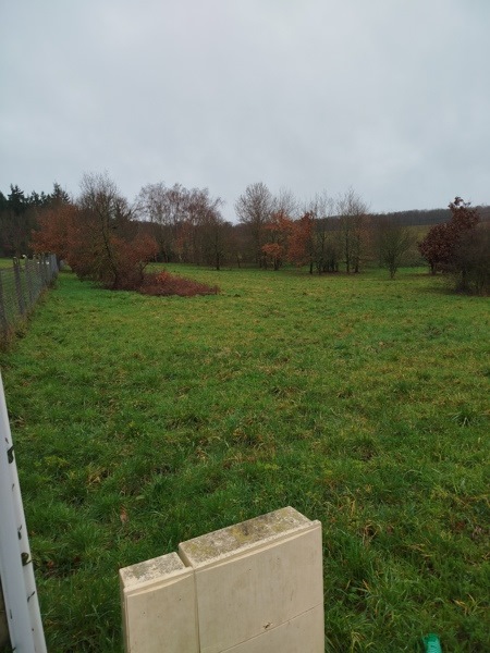 Vente Terrain DAME MARIE LES BOIS - -2997 m² - (37110)