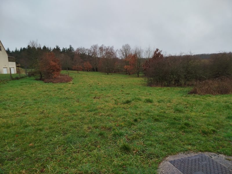 Vente Terrain DAME MARIE LES BOIS - -2997 m² - (37110)