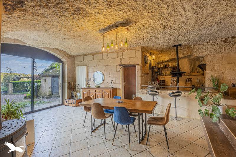 Vente Maison REUGNY - 5 pièces -250 m² - (37380)