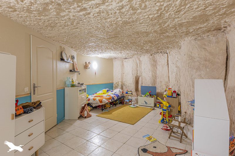Vente Maison REUGNY - 5 pièces -250 m² - (37380)