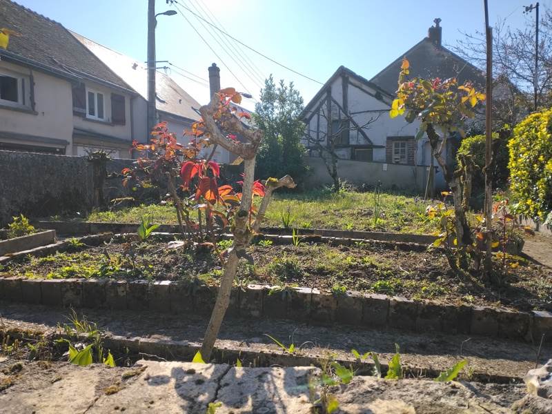 Vente Maison CHATEAU RENAULT - 4 pièces -70 m² - (37110)