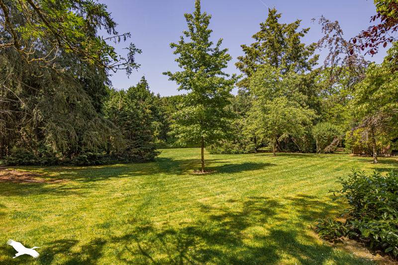 Vente Maison AUZOUER EN TOURAINE - 12 pièces -327 m² - (37110)