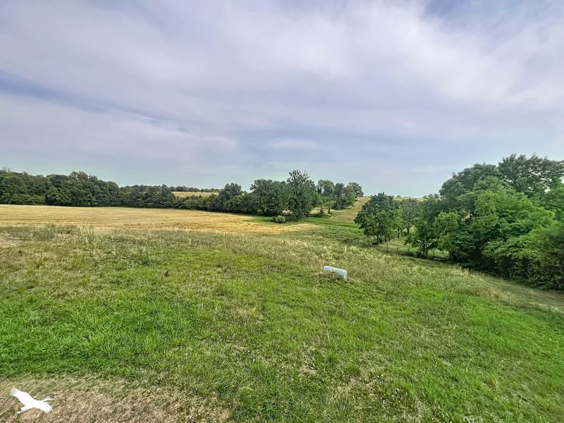 Vente Maison ST SEVERIN - 4 pièces -86 m² - (16390)