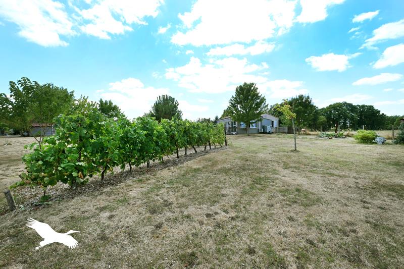 Vente Maison PILLAC - 6 pièces -116 m² - (16390)