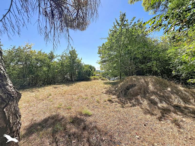 Vente Terrain Saint-Séverin - -850 m² - (16390)
