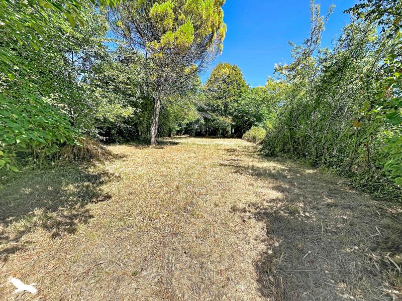 Vente Terrain Saint-Séverin - -850 m² - (16390)