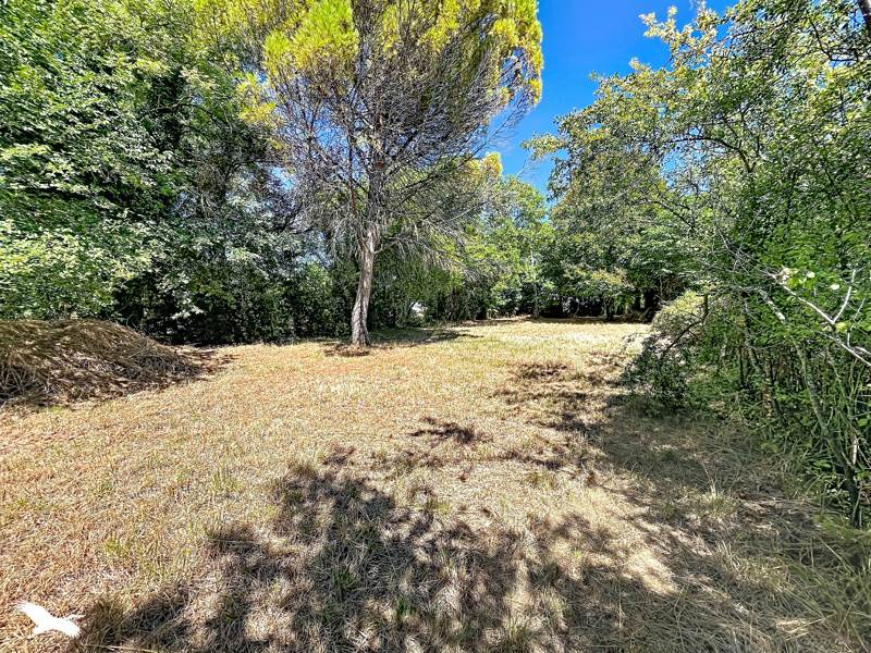 Vente Terrain Saint-Séverin - -850 m² - (16390)