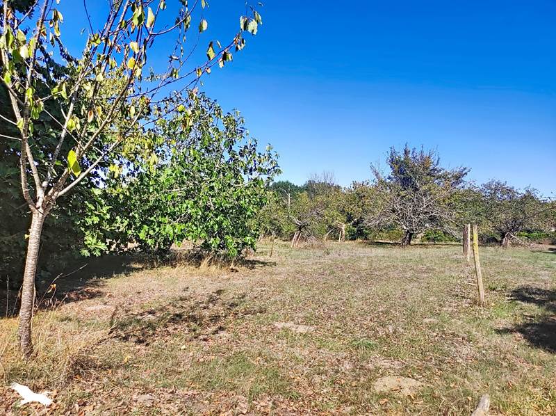 Vente Maison PERIGNAC - 4 pièces -91 m² - (16250)