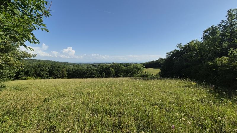 Vente Maison ISSEL - 8 pièces -350 m² - (11400)