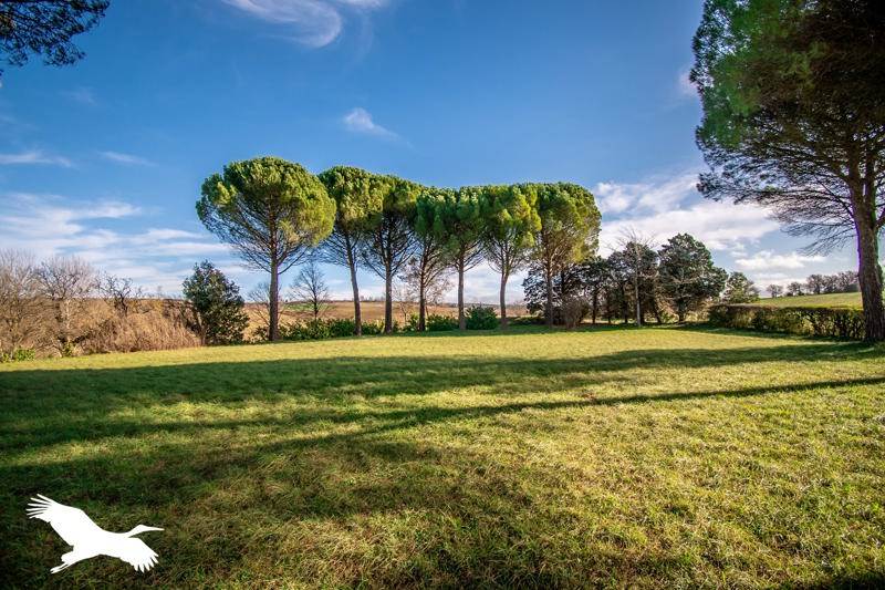 Vente Maison TREVILLE - 13 pièces -480 m² - (11400)