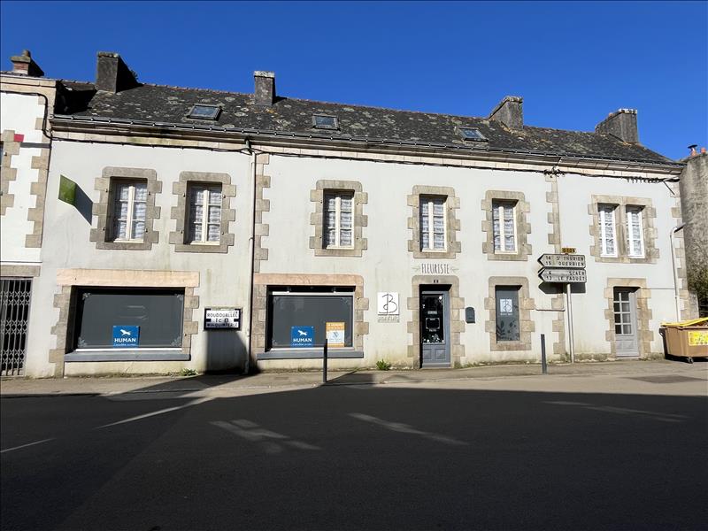Vente Immeuble GUISCRIFF - -  100 m² - (56560)