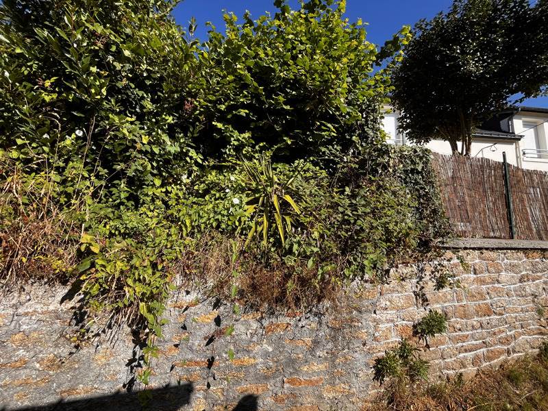 Vente Terrain LANVENEGEN - -610 m² - (56320)