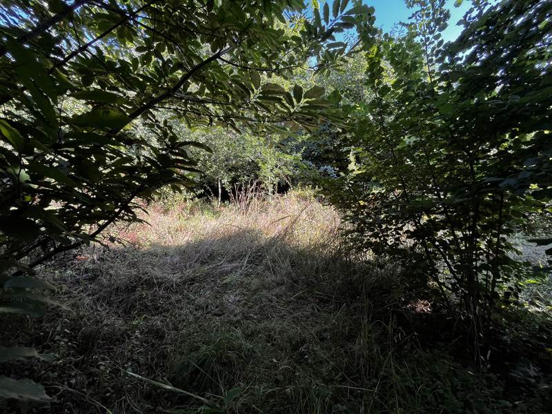 Vente Terrain LANVENEGEN - -610 m² - (56320)