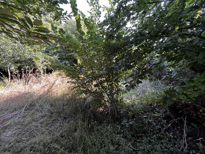 Vente Terrain LANVENEGEN - -610 m² - (56320)