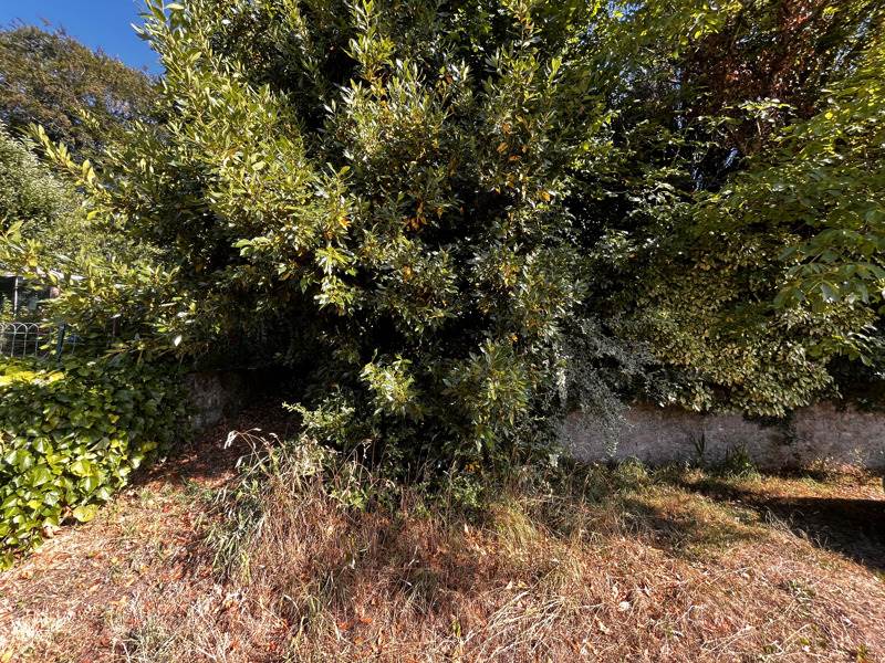Vente Terrain LANVENEGEN - -610 m² - (56320)