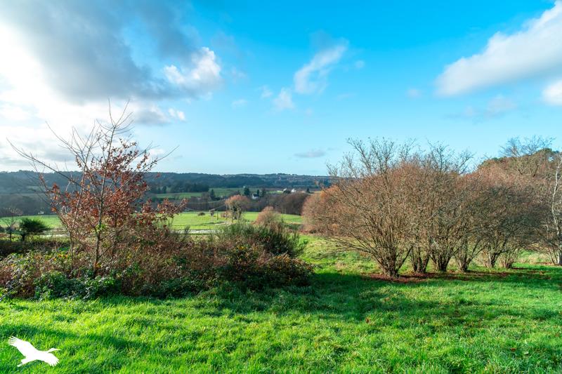 Vente Maison BERNE - 5 pièces -155 m² - (56240)