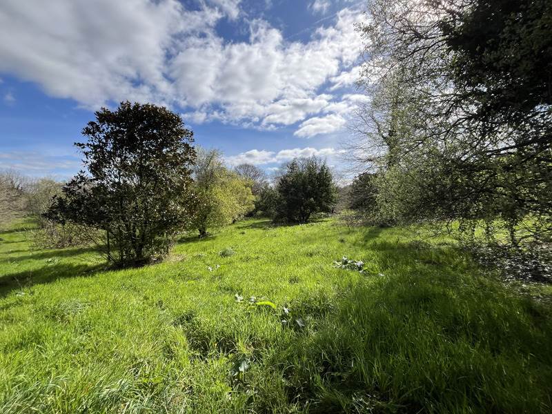 Vente Maison LANGONNET - 5 pièces -125 m² - (56630)