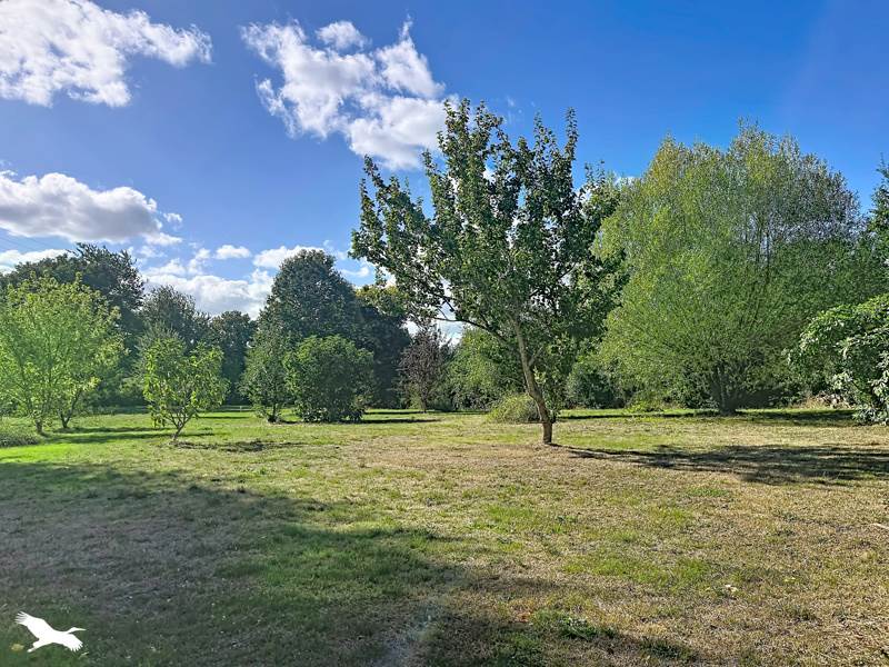 Vente Maison GUISCRIFF - 4 pièces -107 m² - (56560)