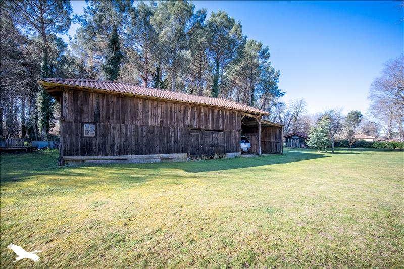 Vente Maison LUGLON - 3 pièces -112 m² - (40630)