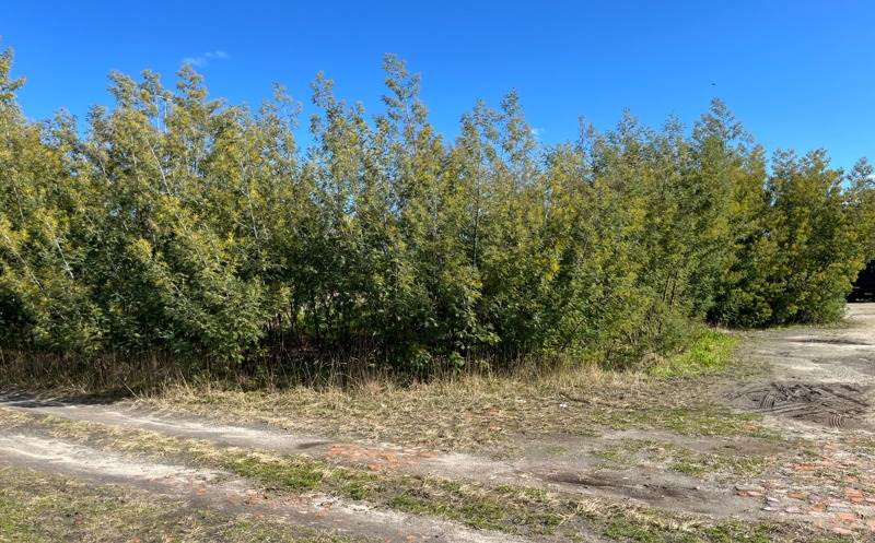 Vente Terrain YGOS ST SATURNIN - -871 m² - (40110)