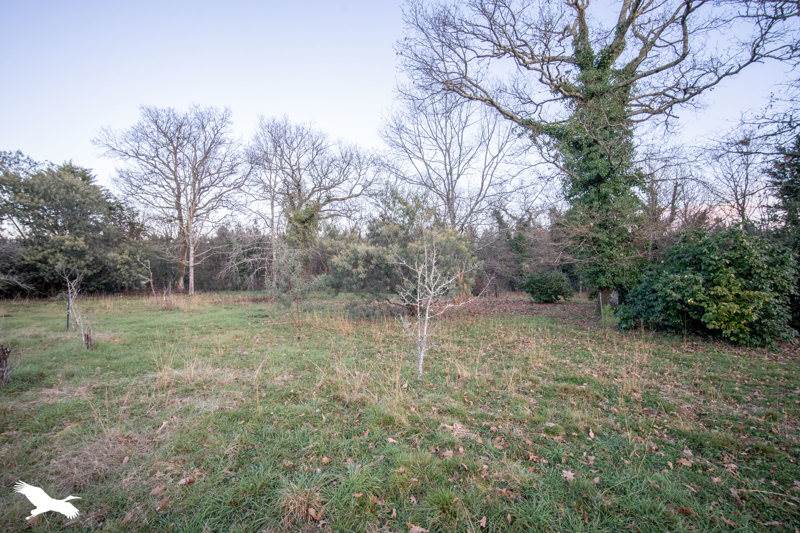 Vente Maison RION DES LANDES - 3 pièces -109 m² - (40370)