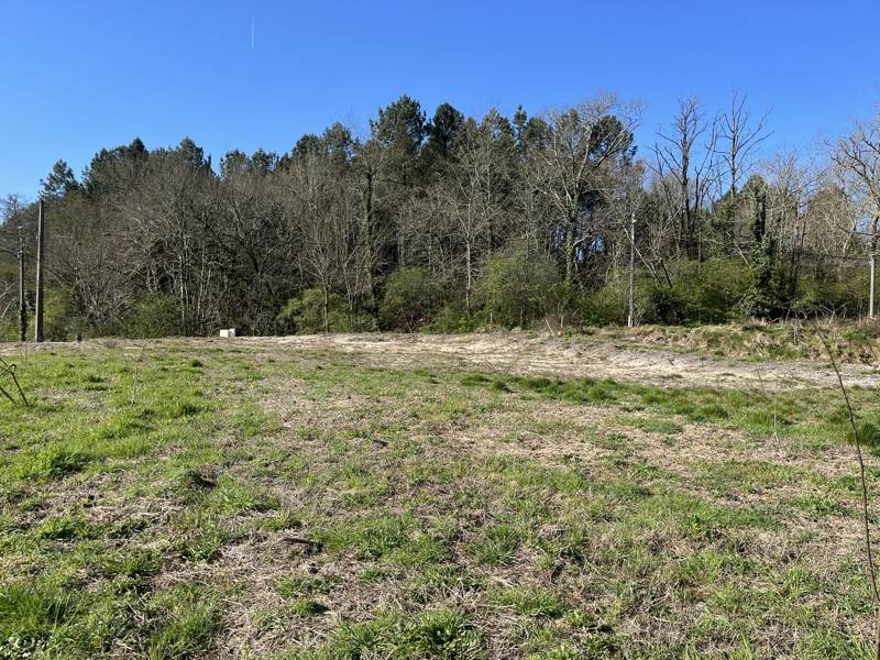 Vente Terrain RION DES LANDES - -1678 m² - (40370)