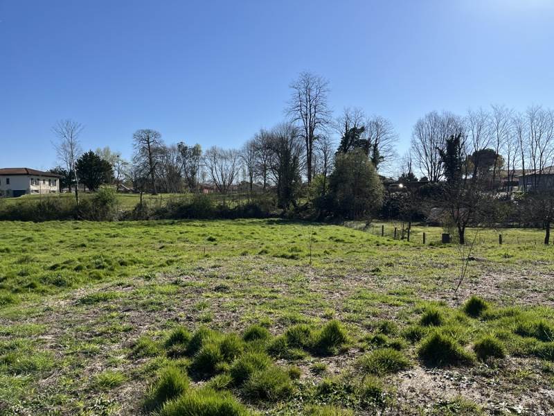 Vente Terrain RION DES LANDES - -1404 m² - (40370)