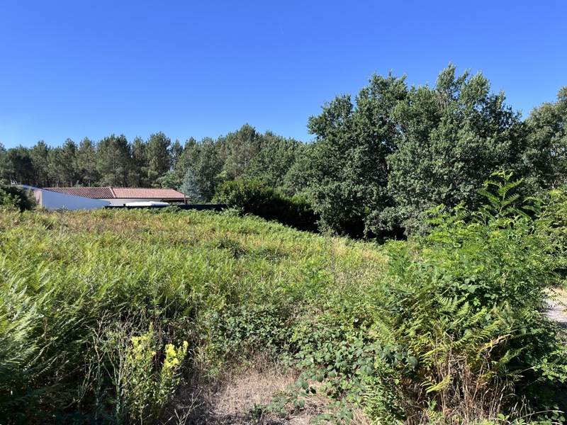 Vente Terrain RION DES LANDES - -2067 m² - (40370)