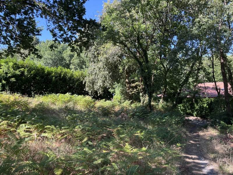 Vente Terrain RION DES LANDES - -2067 m² - (40370)