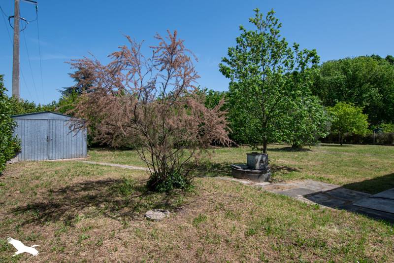 Vente Maison PINSAGUEL - 5 pièces -135 m² - (31120)