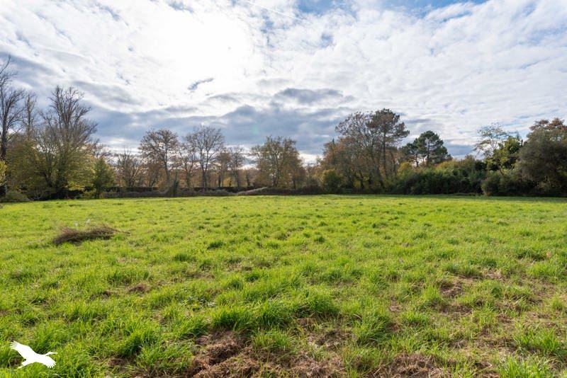 Vente Maison POUYDESSEAUX - 4 pièces -106 m² - (40120)