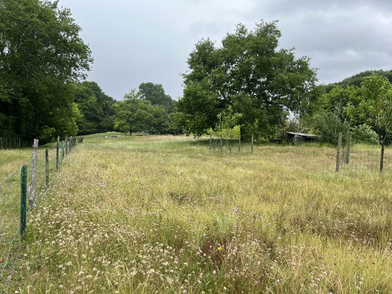 Vente Terrain ROQUEFORT - -1592 m² - (40120)