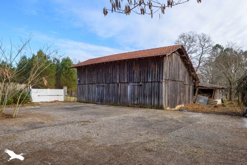 Vente Maison CANENX ET REAUT - 6 pièces -135 m² - (40090)