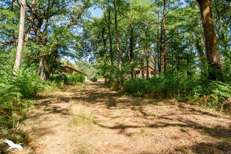 Vente Maison RETJONS - 6 pièces -180 m² - (40120)