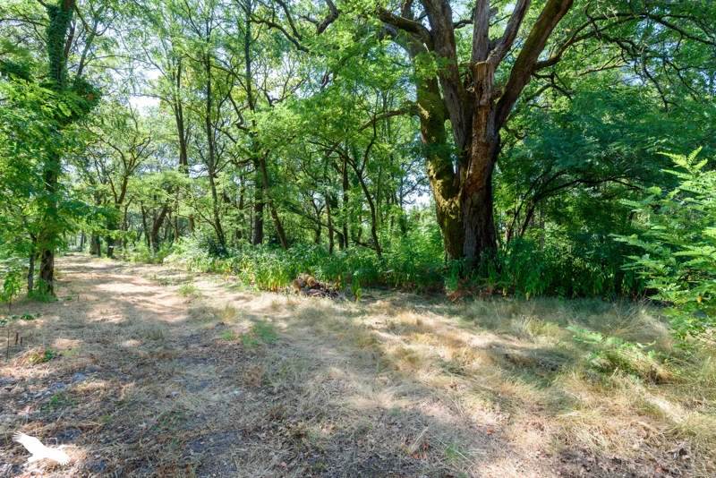 Vente Maison RETJONS - 6 pièces -180 m² - (40120)