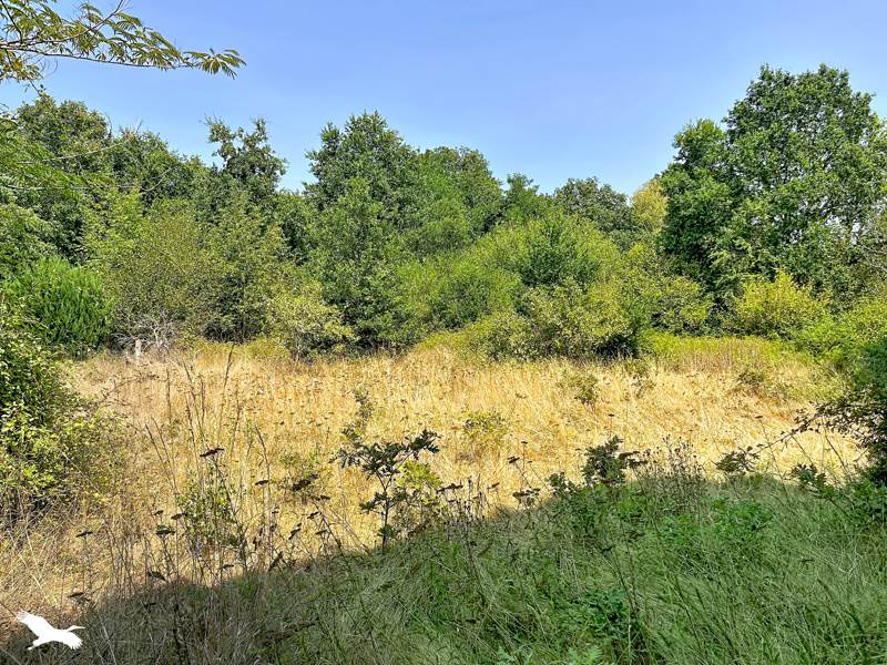 Vente Maison LABRIT - 4 pièces -87 m² - (40420)