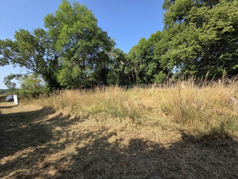 Vente Terrain ST MEDARD DE GUIZIERES - -2984 m² - (33230)