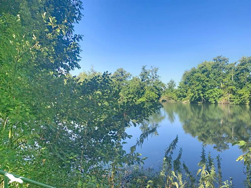 Vente Maison ST MEDARD DE GUIZIERES - 4 pièces -68 m² - (33230)