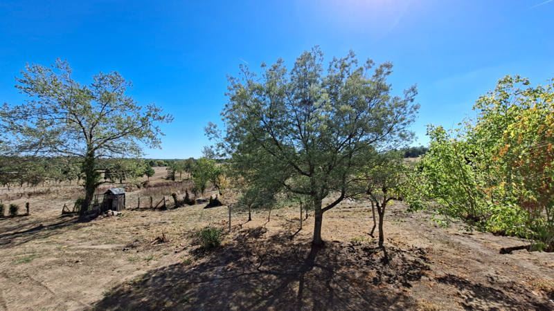 Vente Maison Saint-Antoine-sur-l'Isle - 3 pièces -130 m² - (33660)