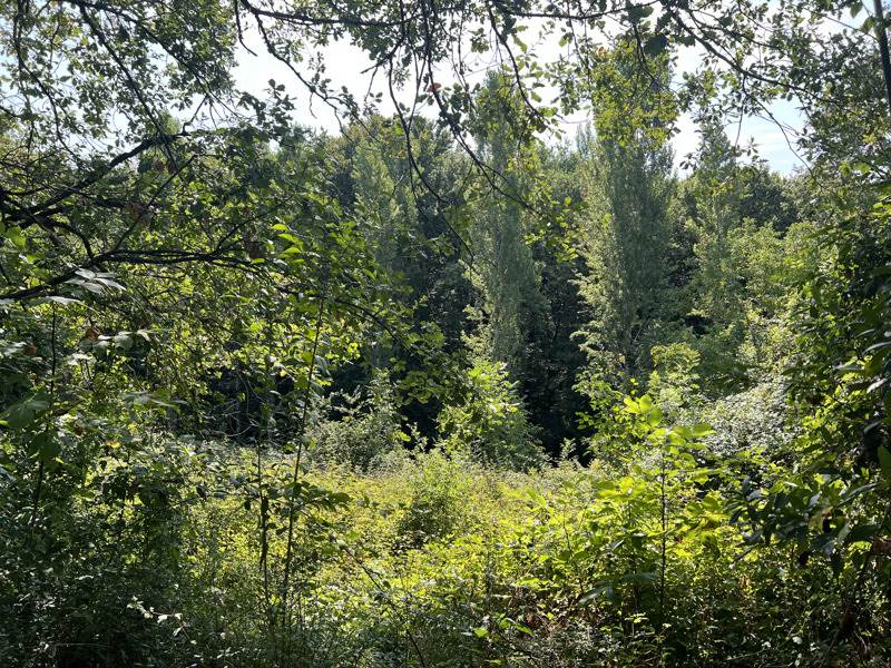 Vente Maison TERMES D ARMAGNAC - 2 pièces -70 m² - (32400)