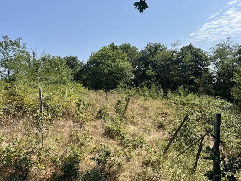 Vente Maison TERMES D ARMAGNAC - 2 pièces -70 m² - (32400)