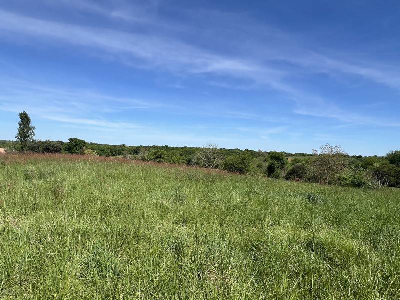 Vente Terrain LOUBEDAT - -607 m² - (32110)