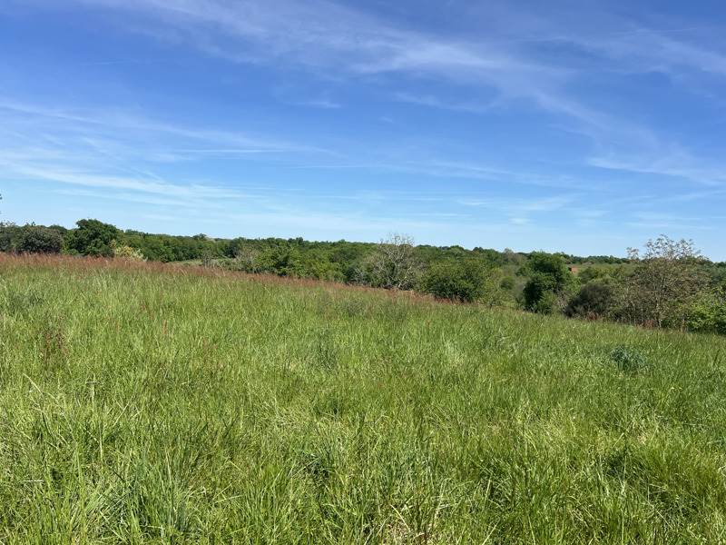 Vente Terrain LOUBEDAT - -607 m² - (32110)