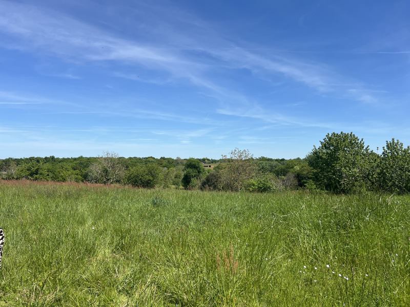 Vente Terrain LOUBEDAT - -607 m² - (32110)